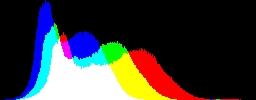Histogram
