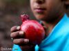 Red, like a pomegranate