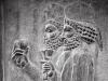 Old Persian People