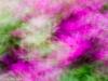 Colorful Dream