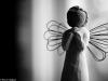 Angel of Wishes