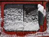 Snowy car's window